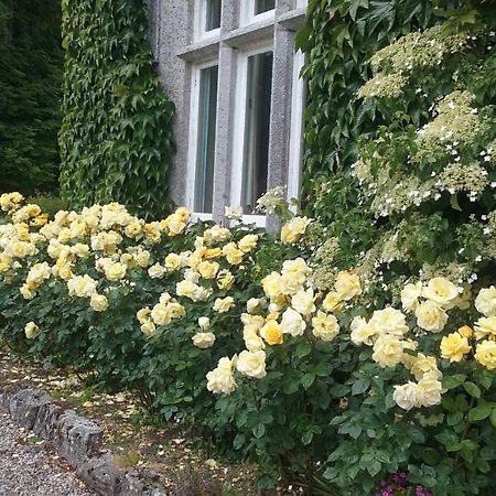 Courtyard Cottage Carlow Esterno foto