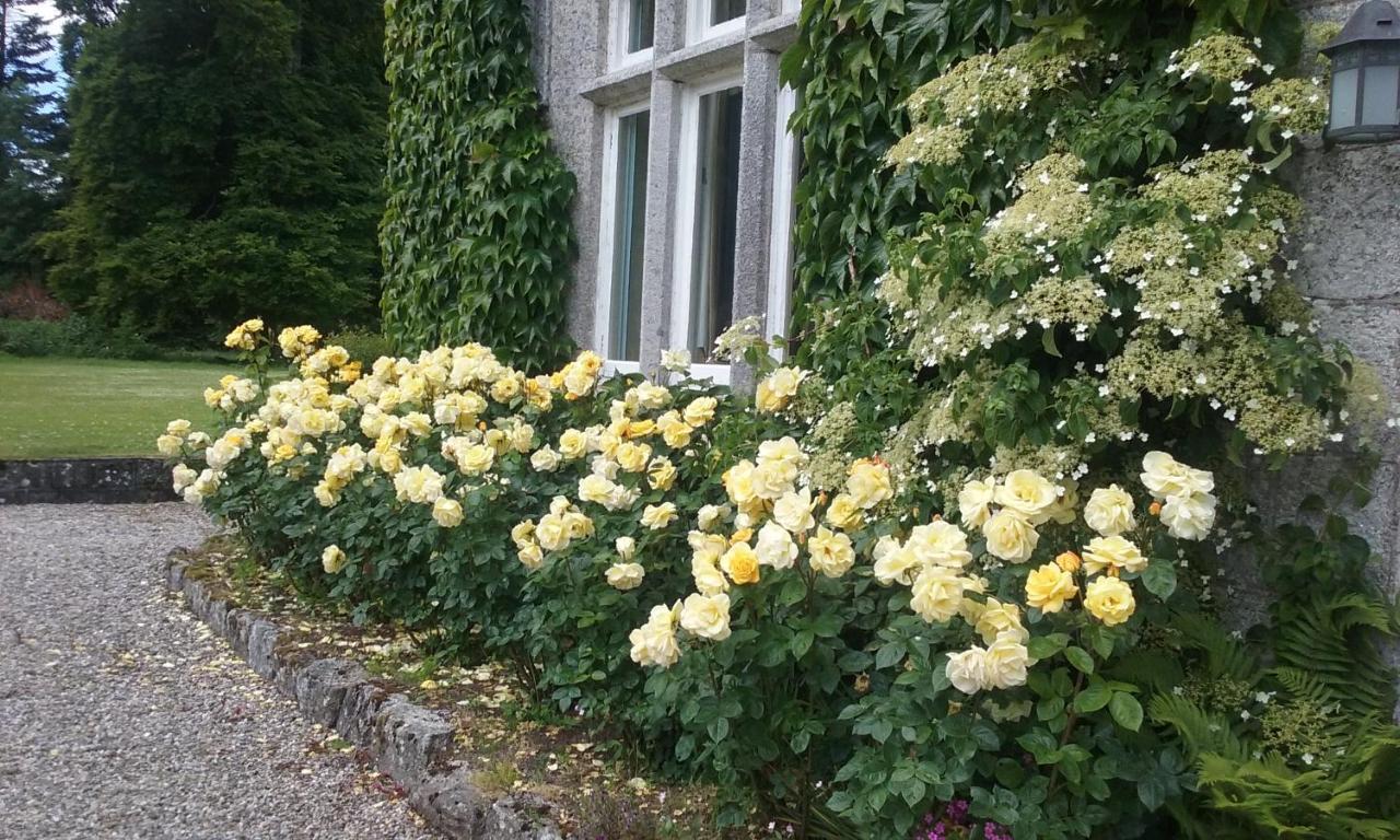 Courtyard Cottage Carlow Esterno foto