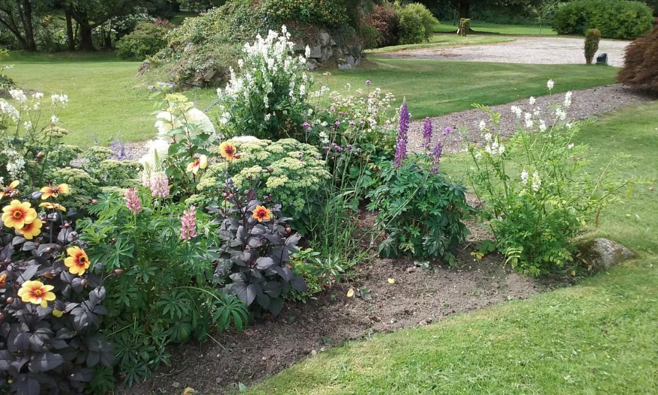 Courtyard Cottage Carlow Esterno foto